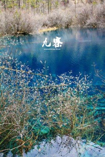 陶阿甘弹弹堂大作战