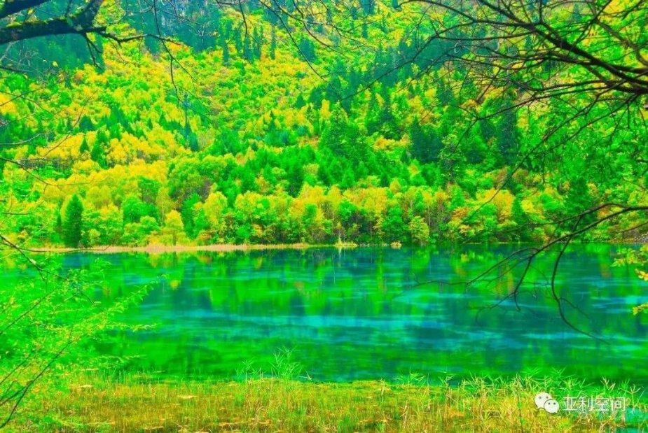 补救措施