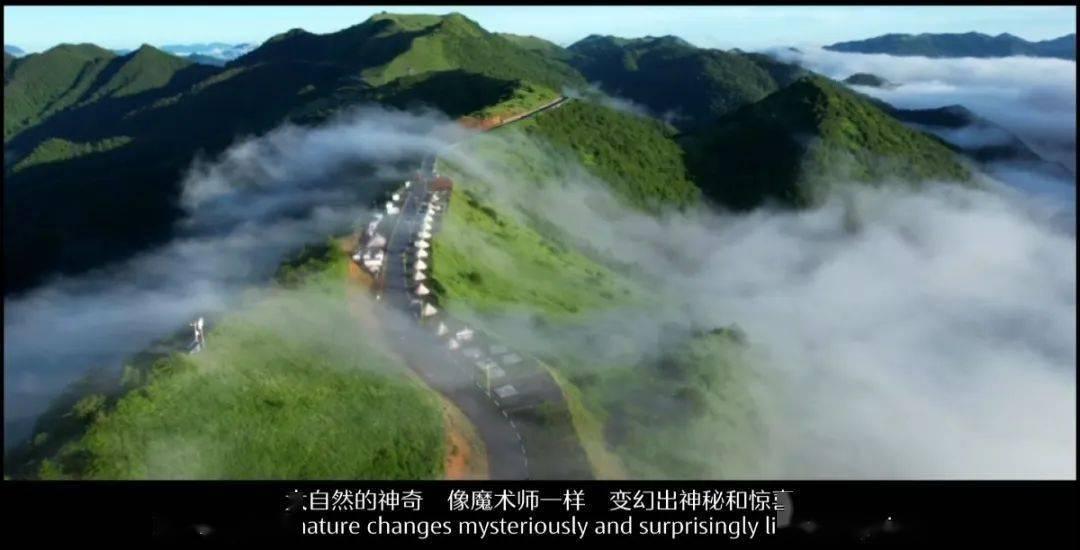 哆啦A梦2奇迹之岛